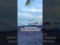 Sensasi Dolphin Tour di Singaraja Beach Hotel #dolphin #singarajabeachhotel #singaraja #promo