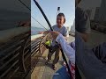 Un monstruo marino rompió la caña #pesca #pescaenrío #pescaesportiva