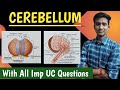 Cerebellum cns  physiology in hindi  by ashish agrawal