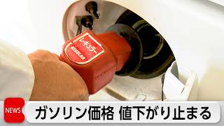 ガソリン価格横ばい 食品容器包装めぐり政府と業界団体が情報交換