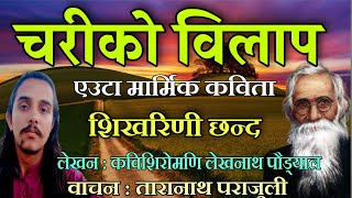 मरमसपरश कवत चरक वलप ,लखनथ पडयल , Recite Taranath Parajuli Chariko Bilap Poem