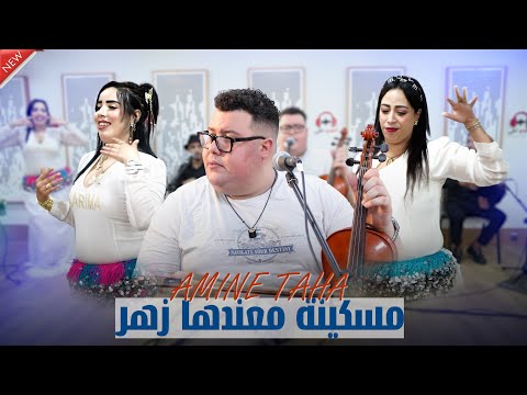 Amine taha Meskina mandeha zehare (cover abdelaziz setati)امين طه مسكينة ماعندها زهر