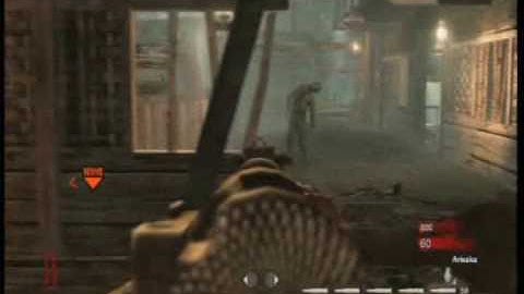 Call of Duty 5 (World at War) Zombies Glitches - Multiple Guns on Shi No Numa