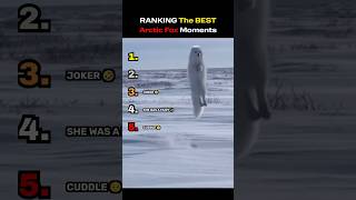 RANKING The BEST Arctic Fox Moments 🦊❄️ #shorts