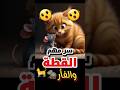 الفأر يكلم القطة بموضوع ضروري جدا ومهم