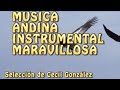 Musica andina instrumental maravillosa andean instrumental music  musica de cecil gonzalez