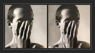 PLANAR ANALYSIS•Cynthia Hurt