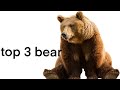 Top 3 bear