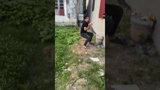 Save The Cat Jumping From The Floor