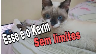 Esse é o Kevin, sem limites by Floquinho o Gato 87 views 3 months ago 5 minutes, 56 seconds