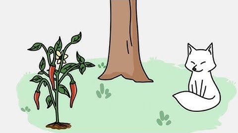 Brain out 2 level 51 found the red fox! Walkthrough solution