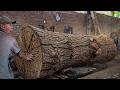 Giant Log Cutting — The Inside of This Tree Will Surprise You