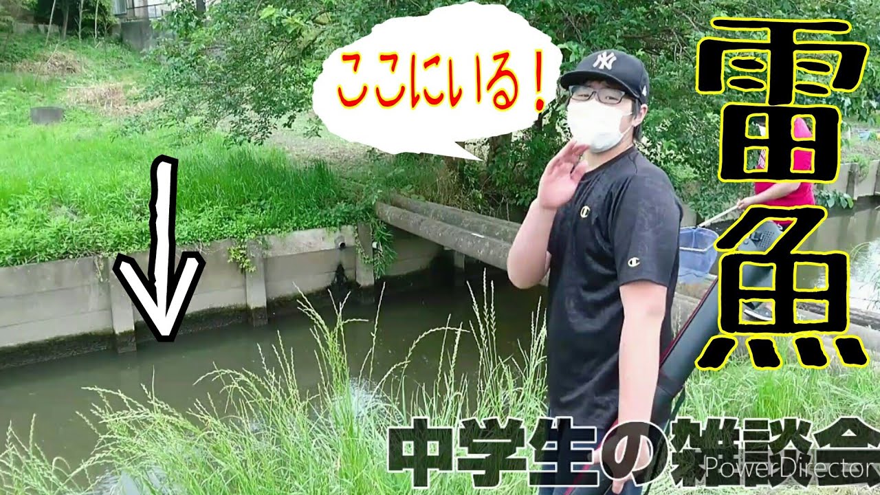 茨城県の川と用水路で 雷魚 を釣ってみた そして捌いて食べる ルアーと餌で釣る Youtube 茨城県の川と用水路で 雷魚 を釣ってみた そして捌いて食べる ルアーと餌で釣る Youtube