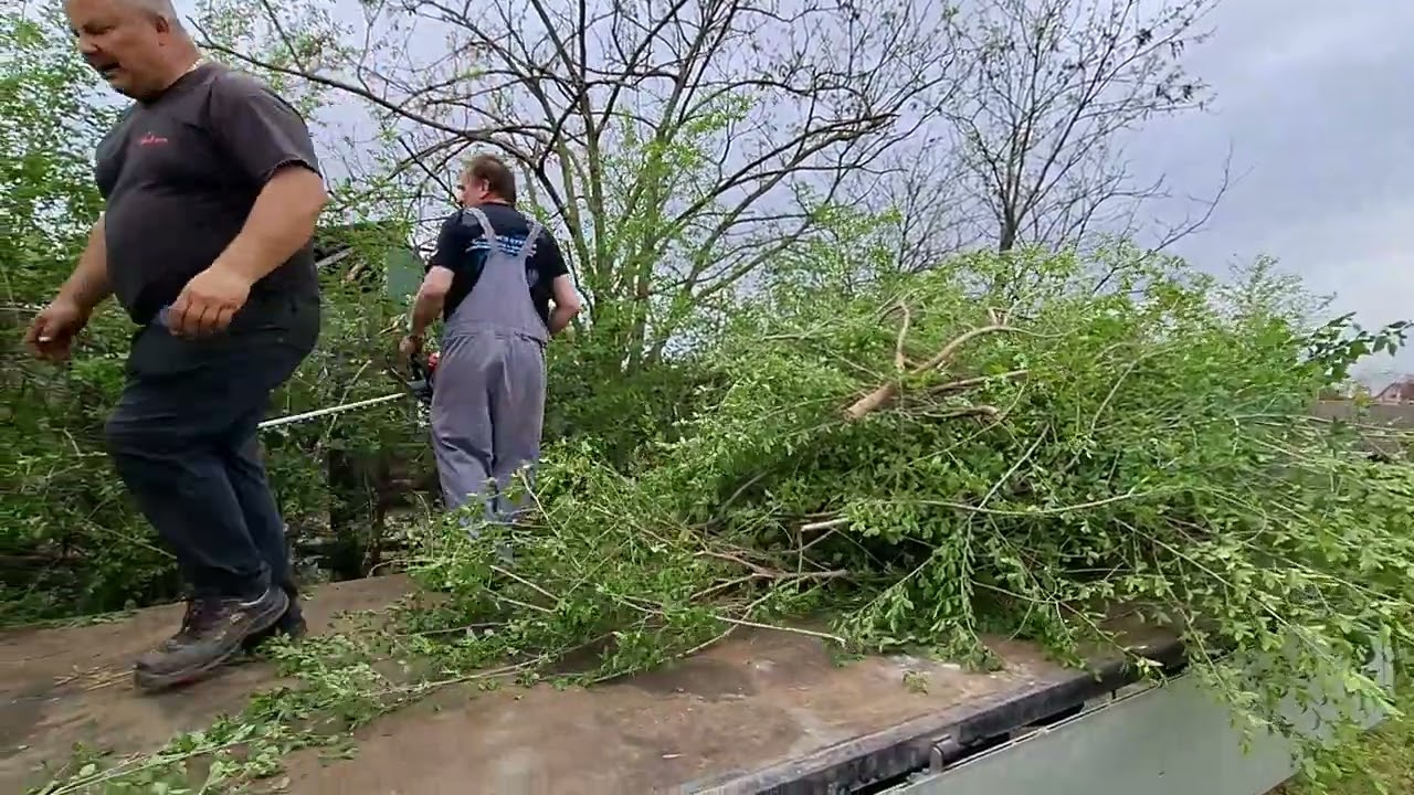 Jani sövényt vág !!