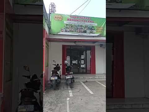 Agen Jamu Herbal Terdekat