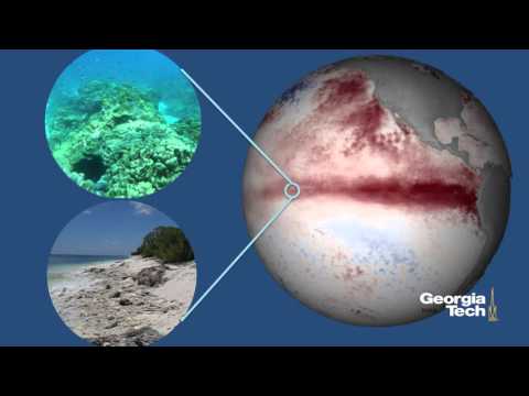 Coral-thermometers and Monster El Ninos