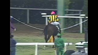 ショウリノメガミ の競走馬情報 | POG-INFO