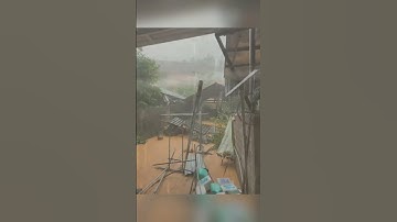 Cơn bão cuốn trôi mọi thứ