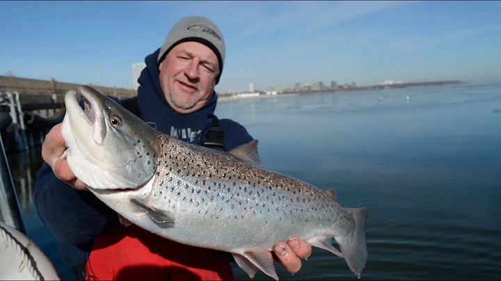 Fishing Brown Trout through the Ice
