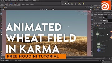 Free Houdini Tutorial: Creating Animated Wheat Fields with Karma