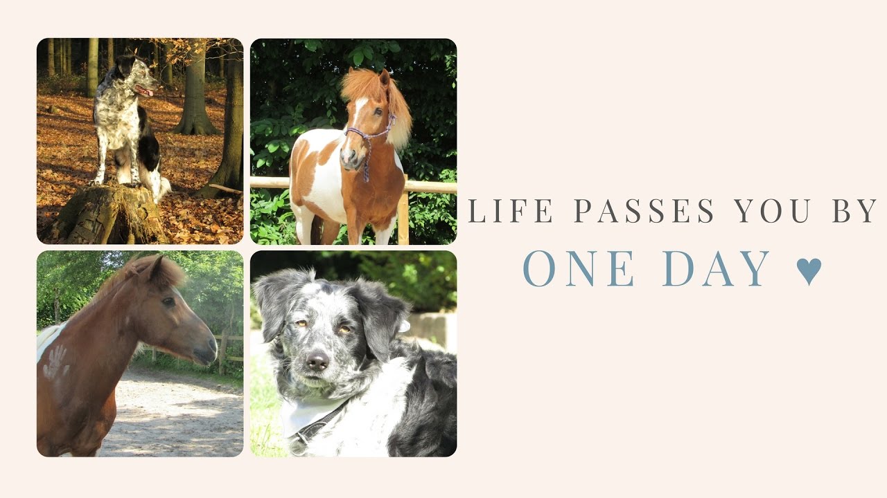 LIFE PASSES YOU BY [ONE DAY] ♥ YouTube