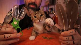 ASMR Reiki Spiritual Cleansing with My Cat You Are Safe Now