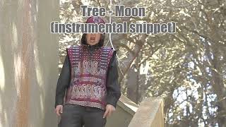 Tree - Moon (instrumental snippet)