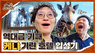 원지 with 김용명 - 케냐 - 2라운드 Part1 🎲✈ │지구마불 세계여행2 | TEO