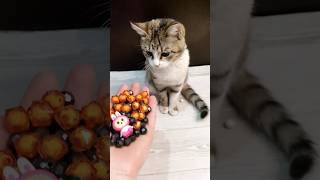ASMR Satisfying 😻CatBeads ReverseFun#shorts #cat #asmr #beads #satisfying