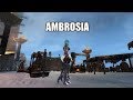 Guild wars 2 craft ambrosia focus