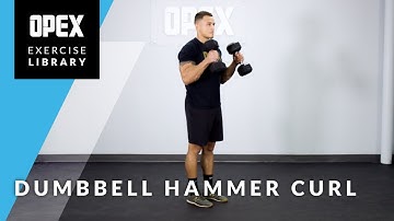 Dumbbell Hammer Curl - OPEX Exercise Library