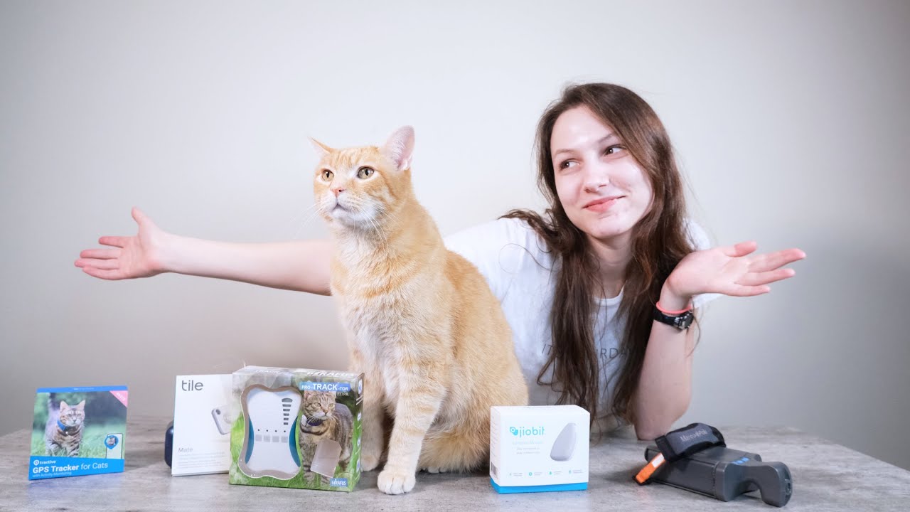 GPS Cat Tracker & Cat Collar with Wellness Monitoring