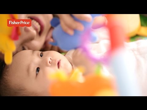 リニューアル】レインフォレスト・デラックスジムⅡ - YouTube