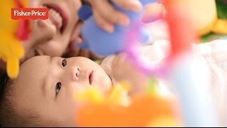 【リニューアル】レインフォレスト・デラックスジムⅡ