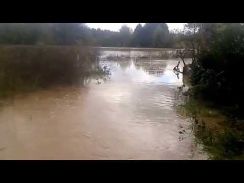 Video: Kako Samostalno Ispustiti Vodu Sa Rastezljivog Stropa, Uključujući I Nakon Poplave, Koliko Vode Može Podnijeti, Kako Je Osušiti, što Učiniti Ako Popusti