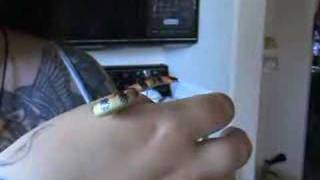 Little Snake Pooping