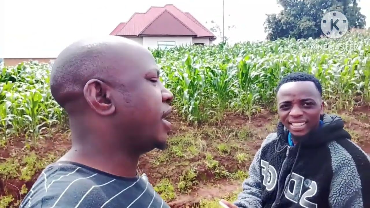 AFRICAN VILLAGE REALLY  CHIEF LIFE EPISODE -01 am lwijisyo.