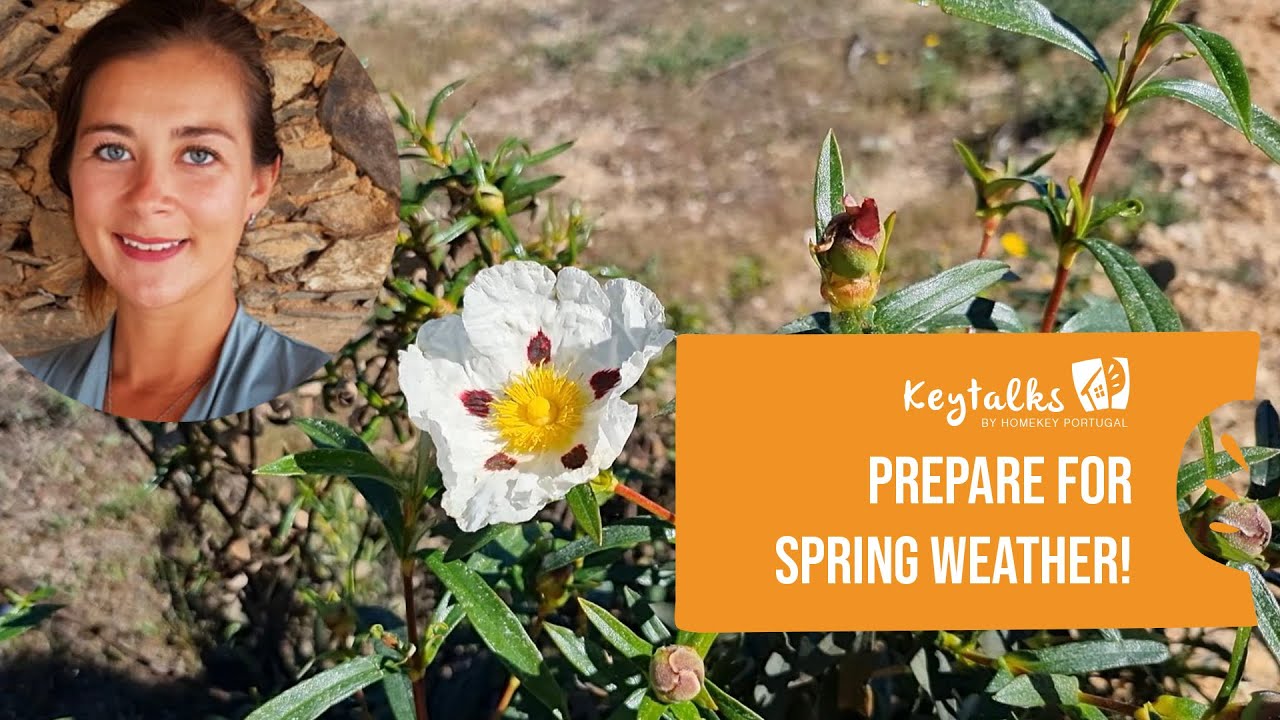 🔑 Key Talks – Prepare for Spring weather! - YouTube