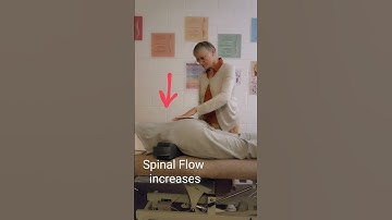 Quick Guide: Demonstrating the Spinal Flow Technique - Subtle Spinal Wave