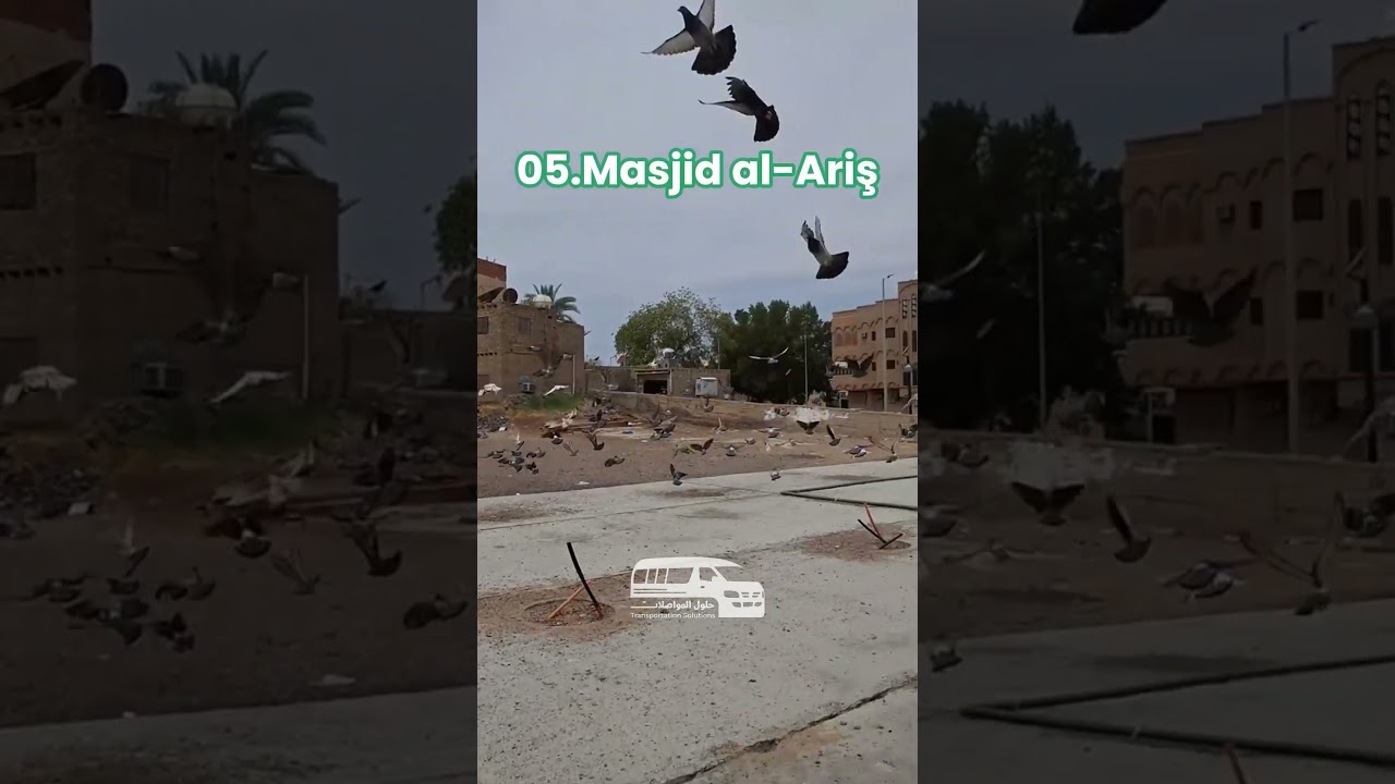 Top 10 Ziyarat Destination – Badr | Travel in Comfort 