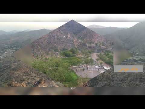 فيصل علوي مخدرة الثعلب مع ابو صلاح