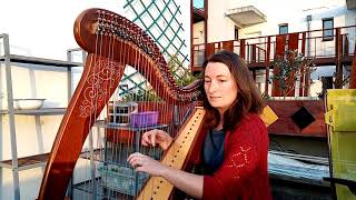 Les Aristochats Sortent Du Confinement