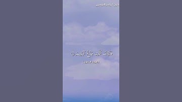 سورة الماعون بصوت الشيخ ياسر الدوسري❤️❤️