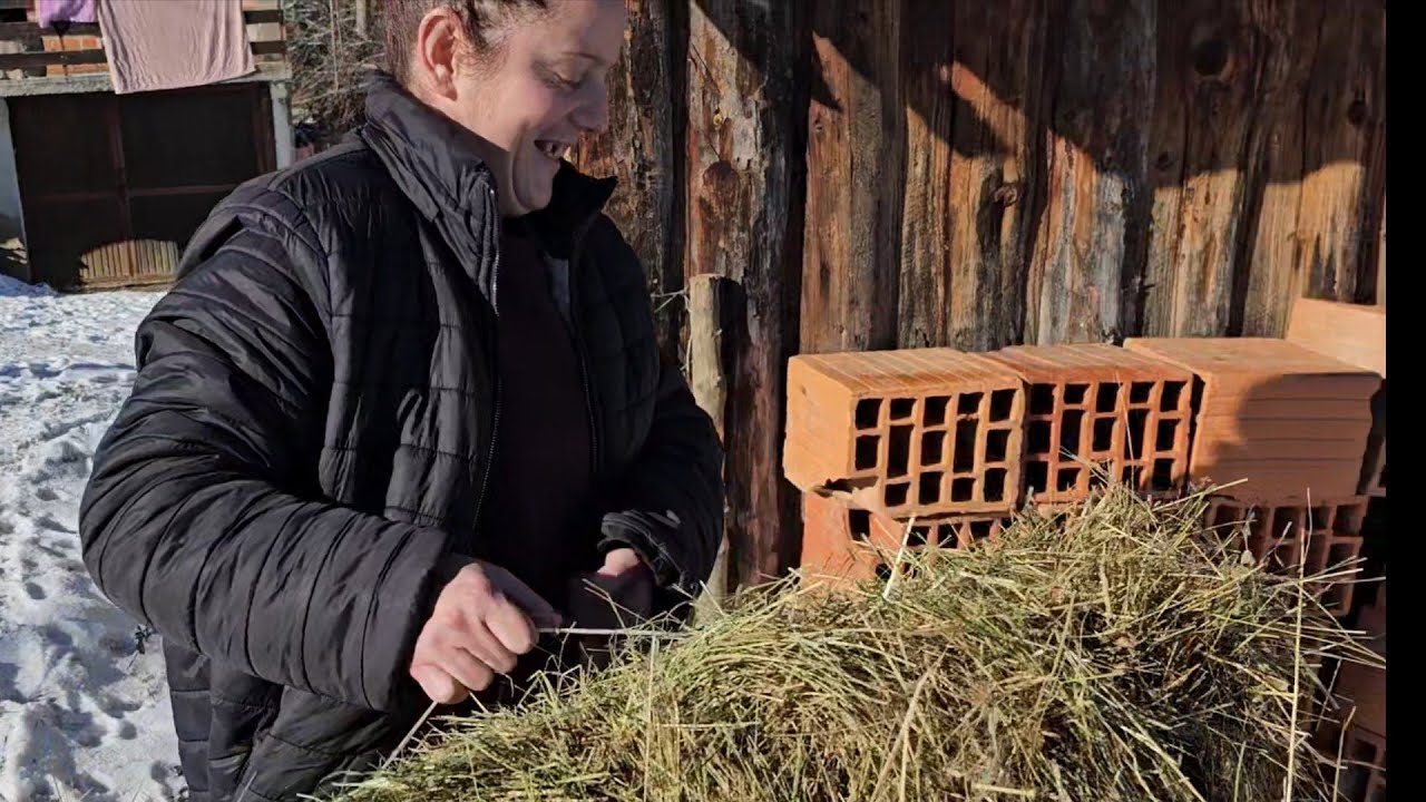 VIDA S VLASICA DOBILA ZIVOTINJE FARMA VUKOVIC DONATOR