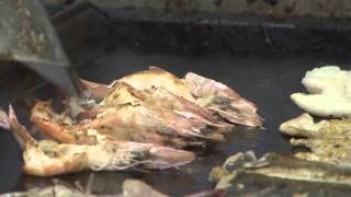 Ocean Basket Brightwater Commons