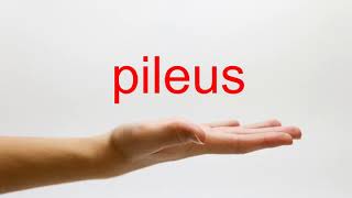 How to Pronounce pileus - American English