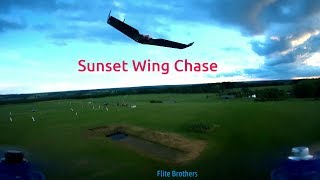 Sunset Wing Chase