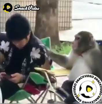 Pinjam duit cepek, nonton ini km pasti ketawa sendiri..