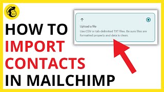 How to Import Contacts in Mailchimp [QUICK GUIDE]