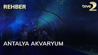 Rehber Antalya Akvaryum
